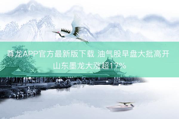 尊龙APP官方最新版下载 油气股早盘大批高开 山东墨龙大涨超17%