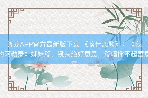 尊龙APP官方最新版下载 《喀什恋歌》：《我的阿勒泰》姊妹篇，镜头绝好意思，篇幅撑不起蓄意