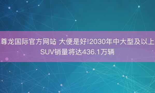 尊龙国际官方网站 大便是好!2030年中大型及以上SUV销量将达436.1万辆