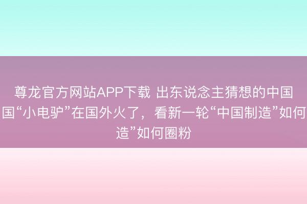 尊龙官方网站APP下载 出东说念主猜想的中国丨中国“小电驴”在国外火了，看新一轮“中国制造”如何圈粉