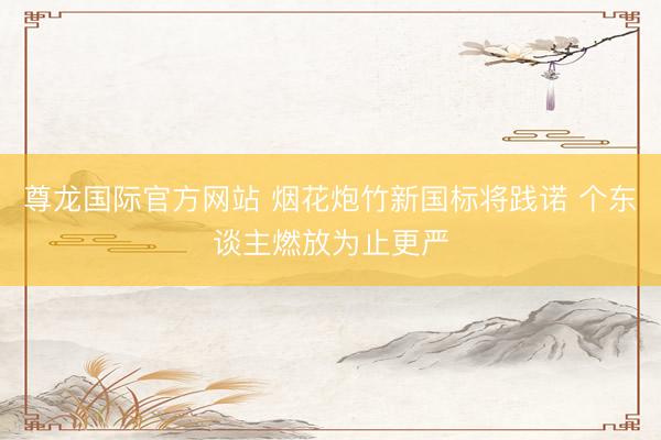 尊龙国际官方网站 烟花炮竹新国标将践诺 个东谈主燃放为止更严