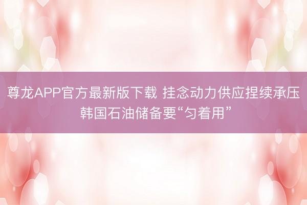 尊龙APP官方最新版下载 挂念动力供应捏续承压 韩国石油储备要“匀着用”