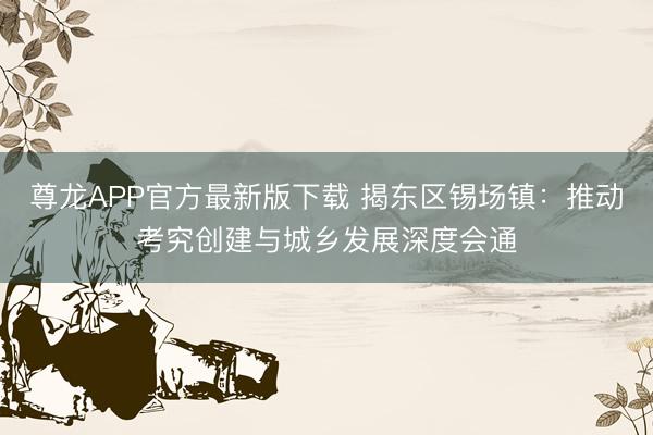 尊龙APP官方最新版下载 揭东区锡场镇：推动考究创建与城乡发展深度会通