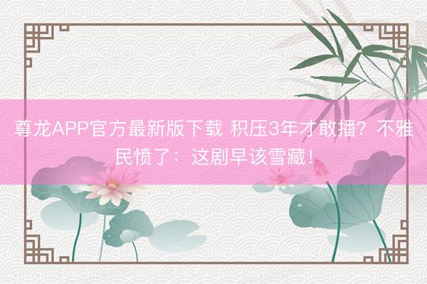 尊龙APP官方最新版下载 积压3年才敢播？不雅民愤了：这剧早该雪藏！